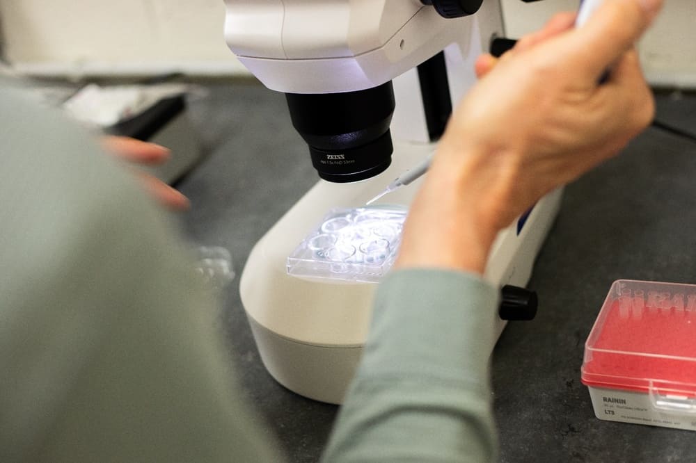 A person using a microscope to examine a cell.