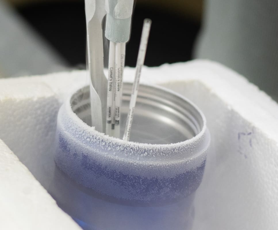 Frozen metal container in foam box with pipettes sticking out.
