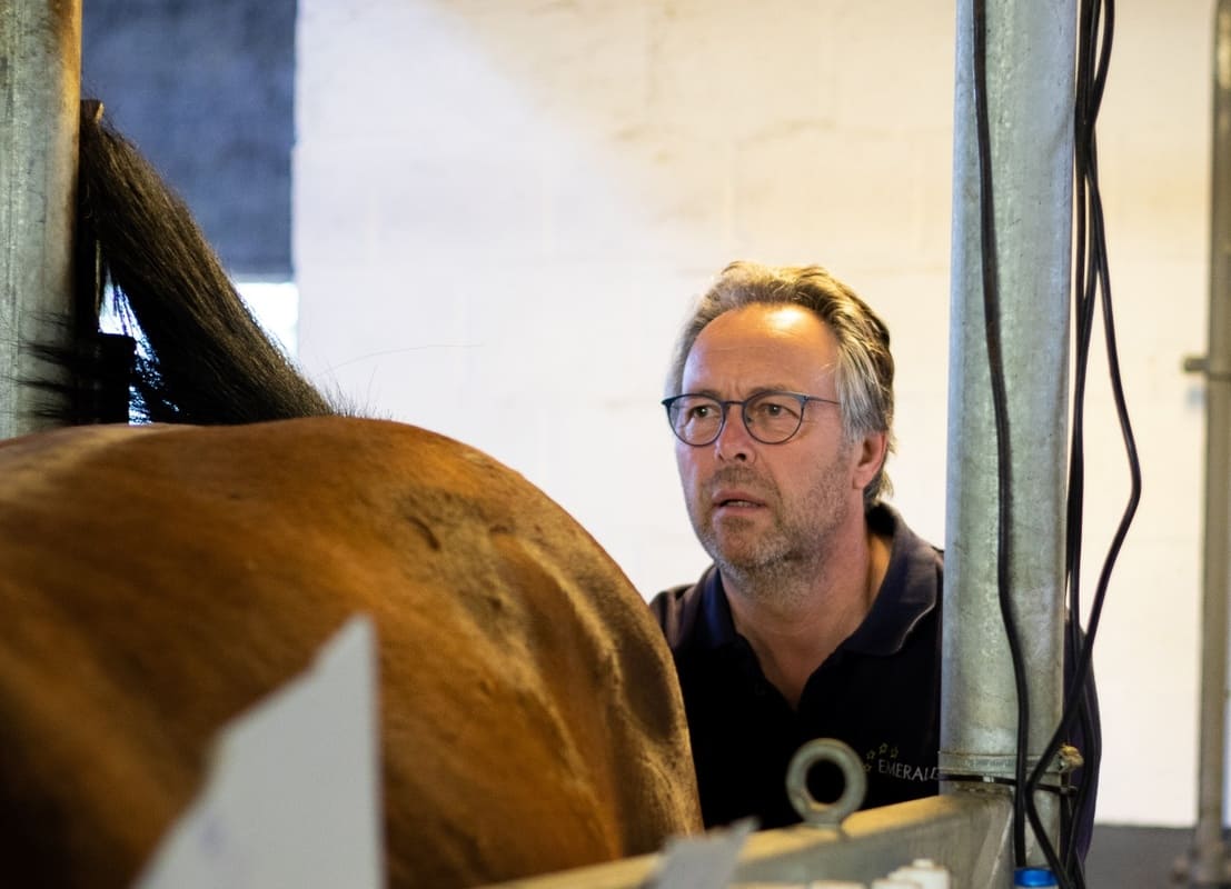 Man wearing glasses standing behind a horse in an examination box.